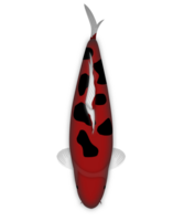 koi pescado Hola bekko doithsu png