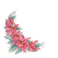 waterverf geschilderd krans sjabloon. rood kerstster, pulcherrima bloemen bladeren met aquarel spatten. fabriek illustratie voor kerstmis, nieuw jaar clip art, vieren kaart. png