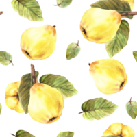 Watercolor hand painted seamless pattern. Yellow ripe juicy quince whole fruits with branch and leaves. Illustration. Repeating clipart for wrapping paper, wallpaper, cover. png