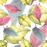 Foliage seamless pattern with colorful leaves of red, yellow and green poinsettia plant. Watercolor hand draw illustration. Isolated Endless background, wallpaper, wrapping paper, textile cover prints png