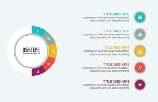 Five 5 Steps Options Circle Business Infographic Template Design vector