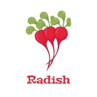 Radish isolated icon on white background. Radish vector illustration.