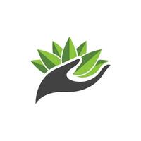 logotipos de la ecología de la hoja del árbol verde vector