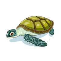 AI generated Serene Sea Turtle Swimming in Isolation Aquatic Wildlife Nature's Beauty in Marine Conservation, Generative Ai png