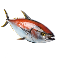 ai genererad vild bluefin tonfisk fånga av de dag, näringsrik protein för skaldjur entusiaster, generativ ai png