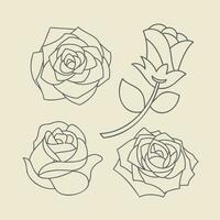 Set of outline rose flower, suitable for color book and design vector