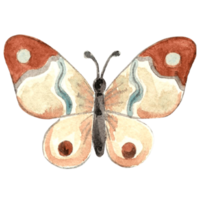 aguarela borboleta Castanho e azul cor. mão desenhado ilustração exótico selvagem inseto. modelo isolado desenhando para decorar convite e cartão, impressão em embalagem, adesivo, bordado e têxtil png