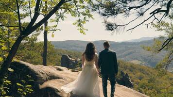 jung Hochzeit Paar im Liebe Jungvermählten Gehen im ein fabelhaft sonnig Park auf ein Hintergrund von Grün Bäume. Bräute gehen im das Park auf ein sonnig Tag. video