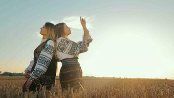 Two girls are relaxing in a wheat field at sunset. A happy day and two girls standing with their backs to each other video