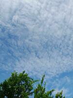 Beautiful white clouds on deep blue sky background. Large bright soft fluffy clouds are cover the entire blue sky. Skyscape on Lombok Island, Indonesia photo