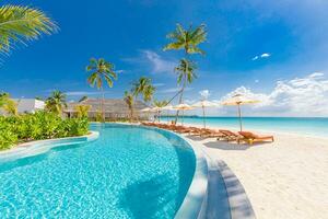 Stunning landscape, swimming pool blue sky with clouds. Tropical resort hotel in Maldives. Fantastic relax and peaceful vibes, chairs, loungers under umbrella and palm leaves. Luxury travel vacation photo