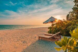 Colorful bright happy tropical landscape. Beach chairs umbrella leisure lifestyle carefree love couple travel scenic. Ocean beach sunny sky, palm trees shore. Relax peaceful tranquil resort beachfront photo