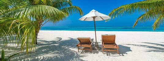 hermosa tropical playa bandera. blanco arena Coco palmas lujo ocio estilo de vida sillas como amplio panorama antecedentes concepto. increíble playa paisaje, romántico escena Pareja Luna de miel viaje destinos foto