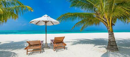 hermosa tropical playa bandera. blanco arena Coco palmas lujo ocio estilo de vida sillas como amplio panorama antecedentes concepto. increíble playa paisaje, romántico escena Pareja Luna de miel viaje destinos foto