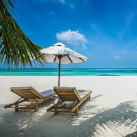 Tropical beach background as summer landscape with lounge chairs and palm trees and calm sea for beach banner photo