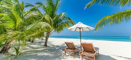 hermosa tropical playa bandera. blanco arena Coco palmas lujo ocio estilo de vida sillas como amplio panorama antecedentes concepto. increíble playa paisaje, romántico escena Pareja Luna de miel viaje destinos foto