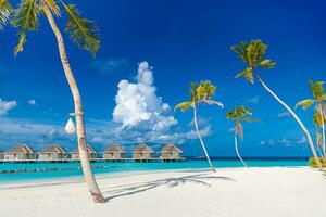 Fantastic sunny panorama at Maldives. Luxury resort seascape. Majestic sea waves coconut palm trees sand sunshine sky. Beauty paradise beach popular destination. Best summer vacation travel background photo