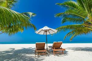 Tropical beach background as summer landscape with lounge chairs and palm trees and calm sea for beach banner photo