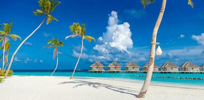 Fantastic sunny panorama at Maldives. Luxury resort seascape. Majestic sea waves coconut palm trees sand sunshine sky. Beauty paradise beach popular destination. Best summer vacation travel background photo