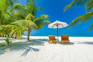 Tropical beach background as summer landscape with lounge chairs and palm trees and calm sea for beach banner photo