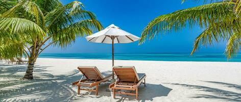 hermosa tropical playa bandera. blanco arena Coco palmas lujo ocio estilo de vida sillas como amplio panorama antecedentes concepto. increíble playa paisaje, romántico escena Pareja Luna de miel viaje destinos foto