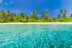 Beautiful tropical beach with white sand, palm trees, turquoise ocean blue sky clouds on sunny summer. Majestic panoramic landscape background for relaxing vacation, island of Maldives. Amazing nature photo