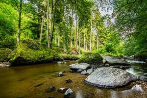 Green forest creek, stream of the Alps mountains. Beautiful water flow, sunny colorful mossy rocks nature landscape. Amazing peaceful and relaxing mountain nature scene, spring summer adventure travel photo