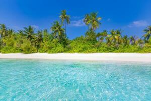Beautiful tropical beach with white sand, palm trees, turquoise ocean blue sky clouds on sunny summer. Majestic panoramic landscape background for relaxing vacation, island of Maldives. Amazing nature photo