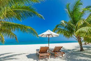 Amazing beach. Romantic chairs umbrella on sandy beach palm leaves, sun sea sky. Summer holiday, couples vacation. Love happy tropical landscape. Tranquil island coast relax beautiful landscape design photo