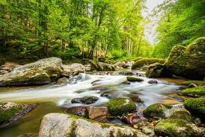 Arroyo del bosque verde, arroyo de las montañas de los Alpes. hermoso flujo de agua, soleado y colorido paisaje natural de rocas cubiertas de musgo. increíble escena de la naturaleza de la montaña pacífica y relajante, viajes de aventura de primavera verano foto