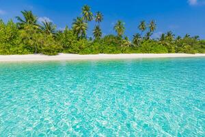 Beautiful tropical beach with white sand, palm trees, turquoise ocean blue sky clouds on sunny summer. Majestic panoramic landscape background for relaxing vacation, island of Maldives. Amazing nature photo