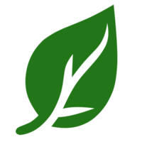 simple leaf logo png