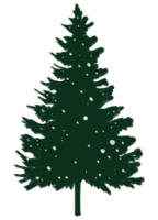 colorida Natal árvore mão desenhado estilo png