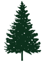 Colorful Christmas tree hand drawn style png