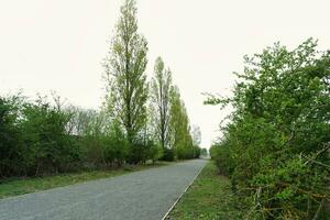 Most Beautiful Public Park of England photo