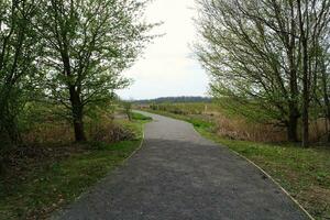 Most Beautiful Public Park of England photo