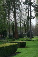 hermosa público parque de Inglaterra foto