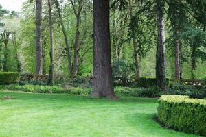 Garden at Local Public Park of England photo