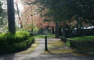 jardín a local público parque de Inglaterra foto