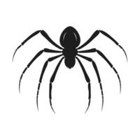 Spider vector silhouette isolated on a White background