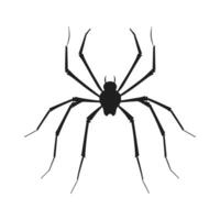 Spider vector silhouette isolated on a White background