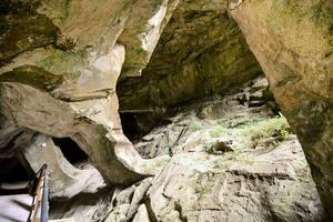 the cave is filled with rocks and trees photo