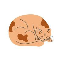 Vector hand drawn sleepy cat lying down. Vector hand drawn pet in flat minimalistic style. Trendy illustration for sticker decoration.