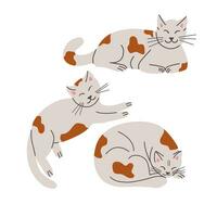 Set of sleepy lying hand drawn cats with spots. Vector pets in flat cartoon minimalistic style. Trendy illustration for sticker, decoration. Good for kids textile, decoration