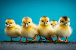 ai generado linda mullido pequeño pequeño amarillo patos ai generado foto