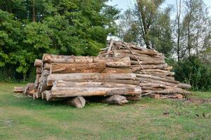 a pile of logs in the middle of a field photo