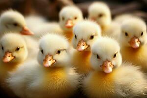 AI generated Cute fluffy small little yellow ducks AI Generated photo