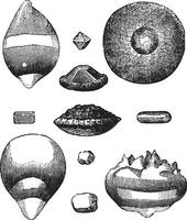 Different forms of hail vintage engraving vector