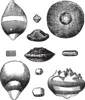 diferente formas de granizo Clásico grabado vector
