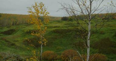 autumn in the southern Urals video